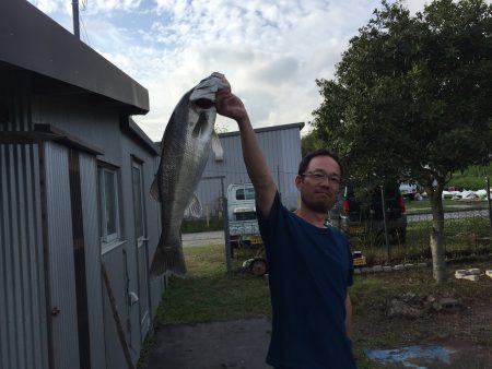 やまちゃんサツキマス狙いでスズキを釣る